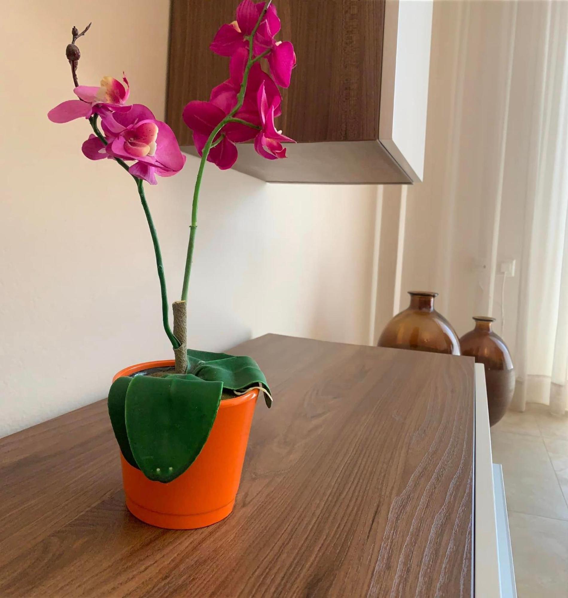 Αpartments Anna Deluxe Διαμέρισμα Καβάλα Εξωτερικό φωτογραφία